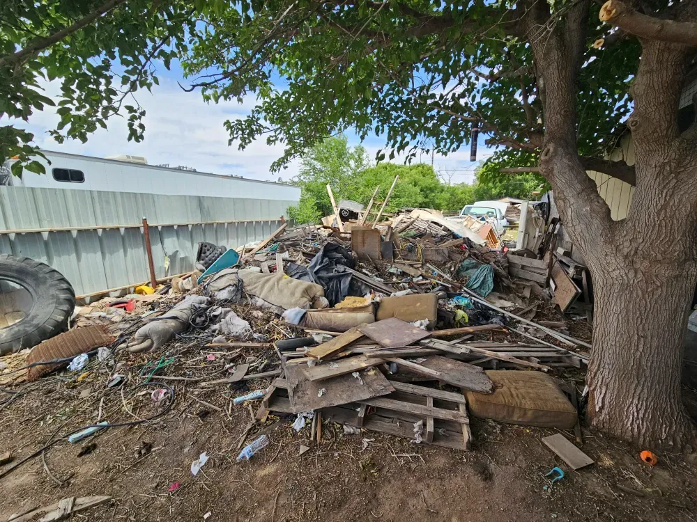 A back-yard junk pile under a big tree — mattresses, couch cushions, lumber, pallets and a tractor tyre — waiting to be cleared.