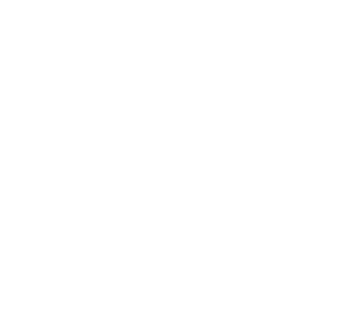 Big Fish Rentals & Services LLC